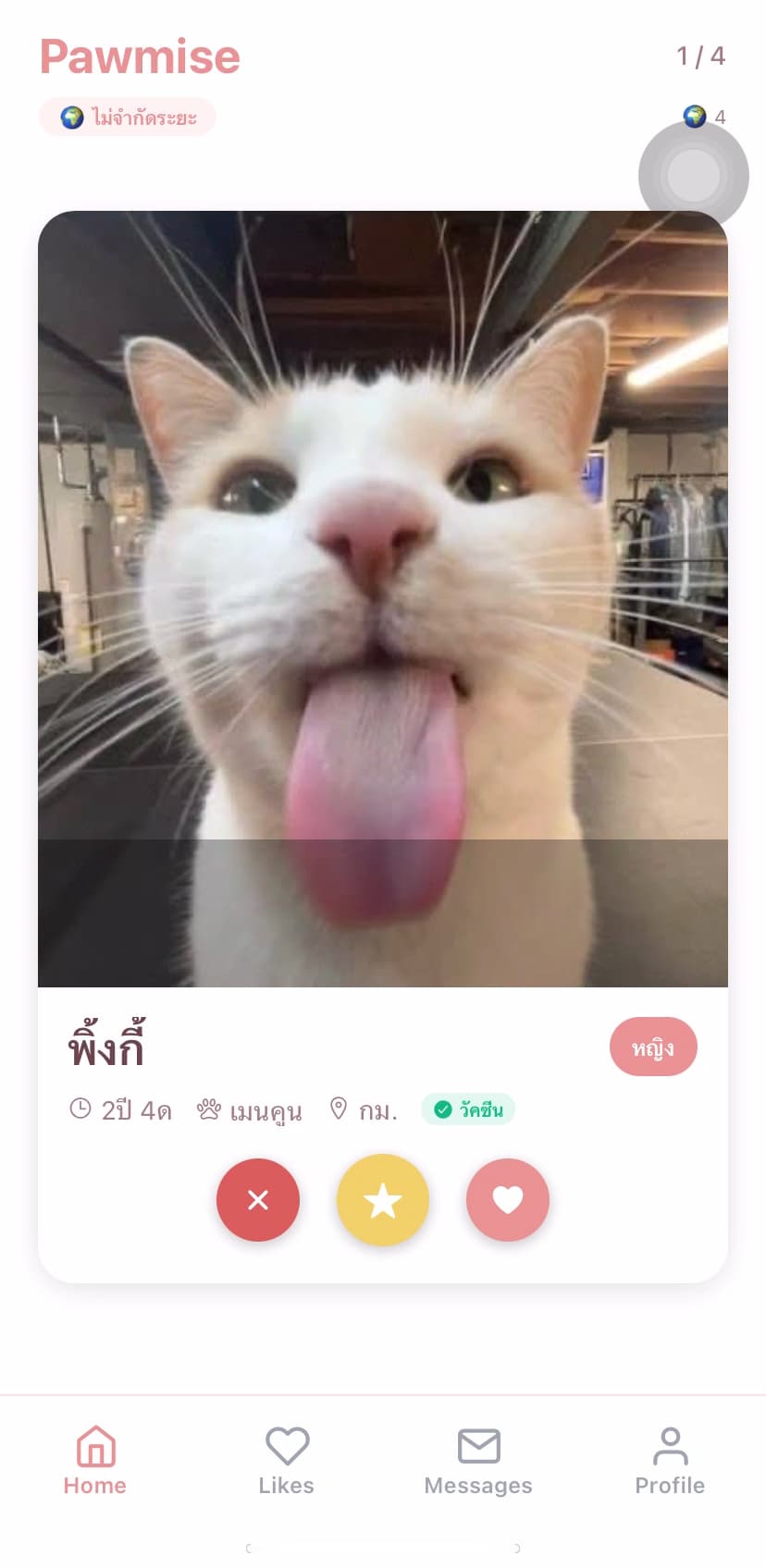 Tinder Cat screenshot 10