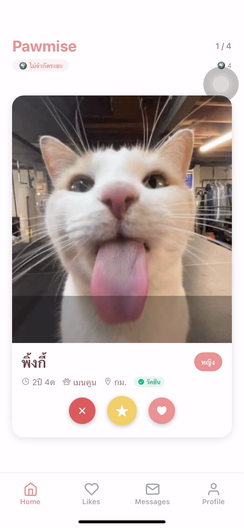 Tinder Cat screenshot 13