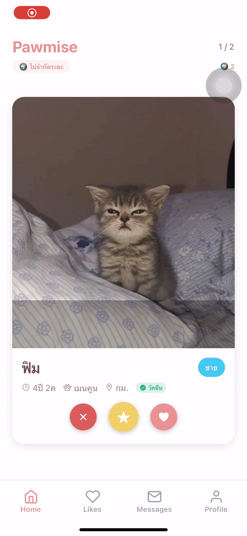 Tinder Cat screenshot 14
