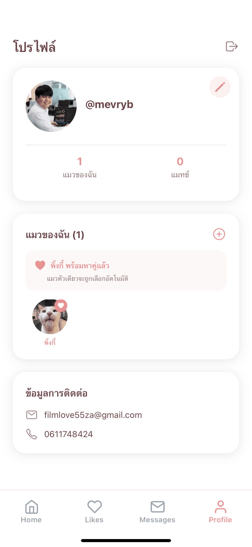 Tinder Cat screenshot 18